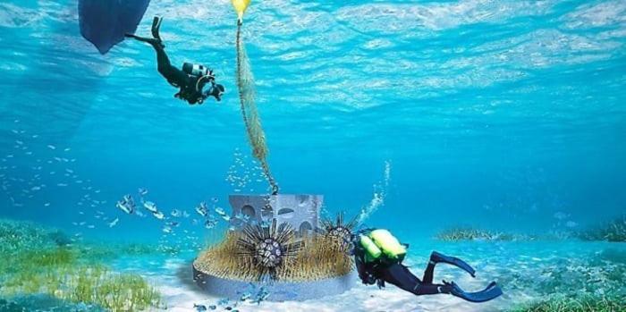 Cap To Sea Eureka A 200 M Centre Naturiste Agde Eksteriør billede